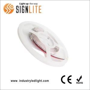 High Brightness SMD5050 RGB 30LEDs/M 6W/M Flexible LED Strip