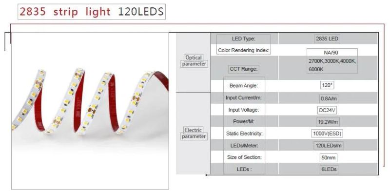 Best Quality SMD LED Strip Light 2835 120LEDs/M DC12V/24V/5V for Side View/Bedroom