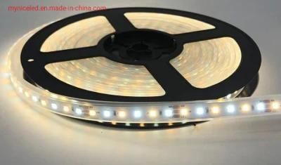 12V Ra80 High Quality LED Adjustable Color Temperature and Five Year Warranty Two Color Temperature 2835 LED Light Strip