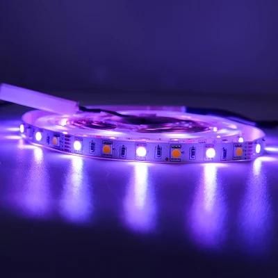 New Indoor Multi Color Cx-Lumen Bluetooth Connection CE China Supplier LED Lighting