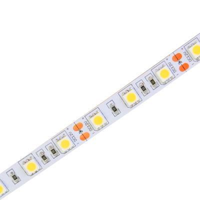 High Lumen SMD5050 60LEDs 24V Flex LED Strips with 3 years warranty