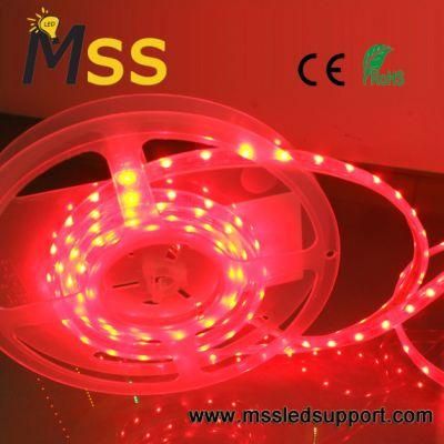 IP20 DC24V RGB LED Light Strip for Night Clubs