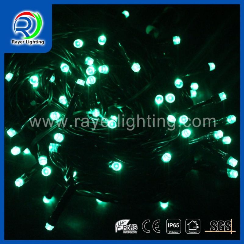 Holiday Light Christmas Decoration Christmas Light LED String Lights Balck Cable