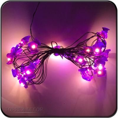 High Brightness Weatherproof Christmas Decoration Animal LED Lights String with Bat Shape for Halloween