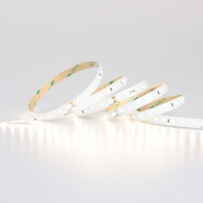 RoHS CE UL 10mm 2835SMD 24V ERP Standards Flexible LED Strip for Decorative Lighting