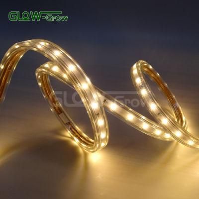 Ra 80+ SMD 2835 60LEDs/M Flexible Strip Light for Outdoor Decoration