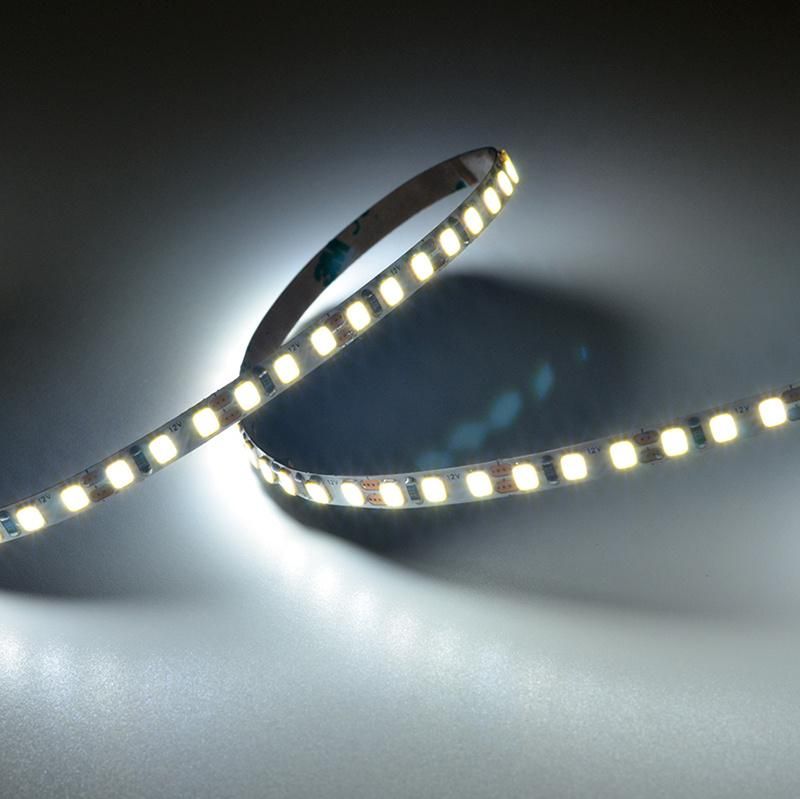 12V 2835 led strip 5MM 156leds dot free led strip