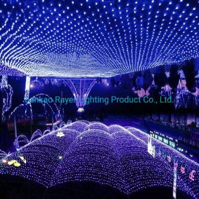 Garden/Home Decorative Lights Wedding /Festival Ceiling Decoration Colorful LED Net Lights