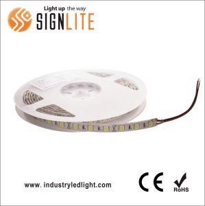 5 Years Warranty SMD2835 10W/M Flexible LED Strip Lights