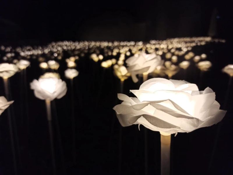 Garden Decoration Wedding Decoraction Holiday Decoraction Artificial Flower Light Rose Light