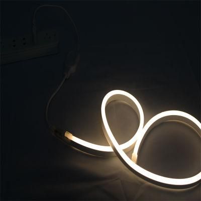 AC120V, 230V SMD2835 5050 Waterproof LED Neon Lights