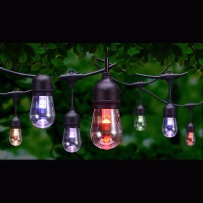 Outdoor Commercial Festival LED RGBW Festoon String Light