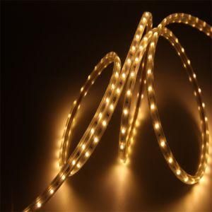 Competitive Price 220V LED Strip 5050SMD 60LEDs Flexible Tape Light