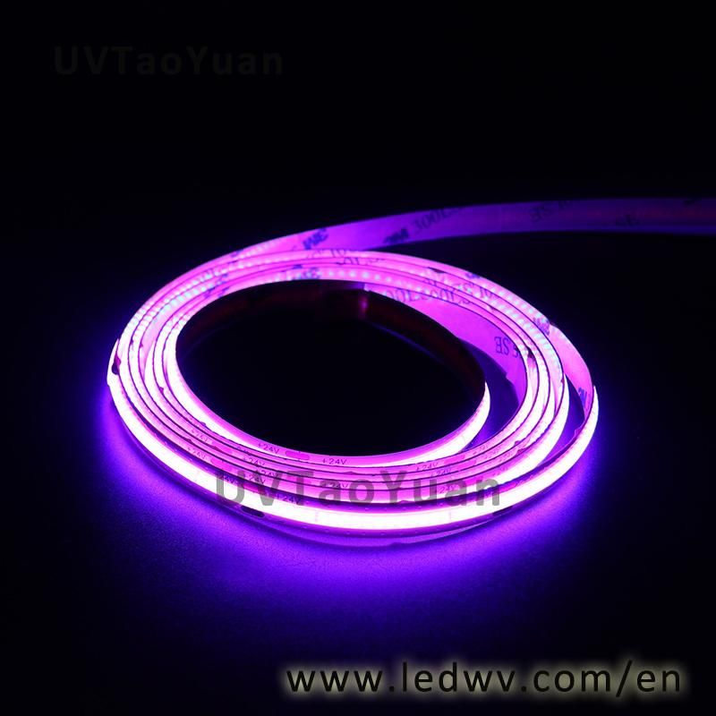 High Quality LED Strip Light 5050 White (m/30lights) LED Strip