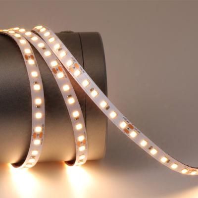 Indoor Decorate Simple Cuttable Installable SMD LED Strip Light 2835 120LEDs/M DC24V