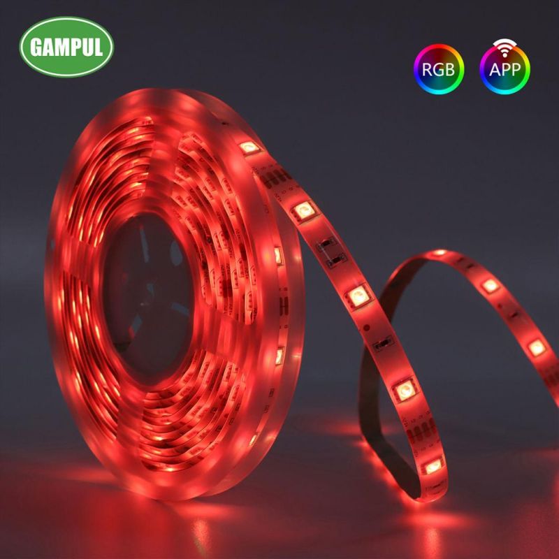 LED Neon 220V Flexible LED Strip Lights LED Ribbon LED Christmas Lights Outdoor LED String RGB Tape Light LED Rope Light