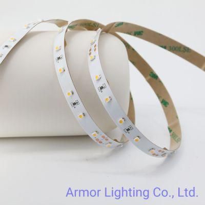 Manufactor Direct Sell SMD LED Strip Light 3528 60LEDs/M DC24V for Home/Office/Building