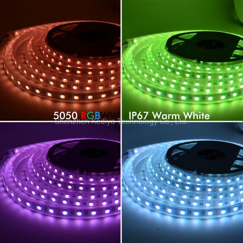 12V 24V DC 5050 RGB 60LEDs+ 2700K / 6500K /4000K IP20 IP65 IP67 Tube Flexible RGBW Rgbww 4 in 1 LED Strip Light