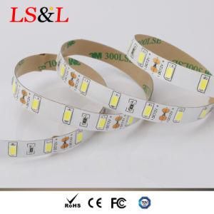 30LEDs/M 5050 LED Decoration Strip Lighting