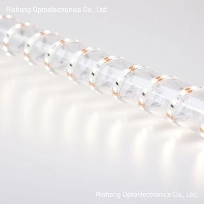 IP65 Silica Gel Coating Waterproof High Density LED Light Strip with High Quality
