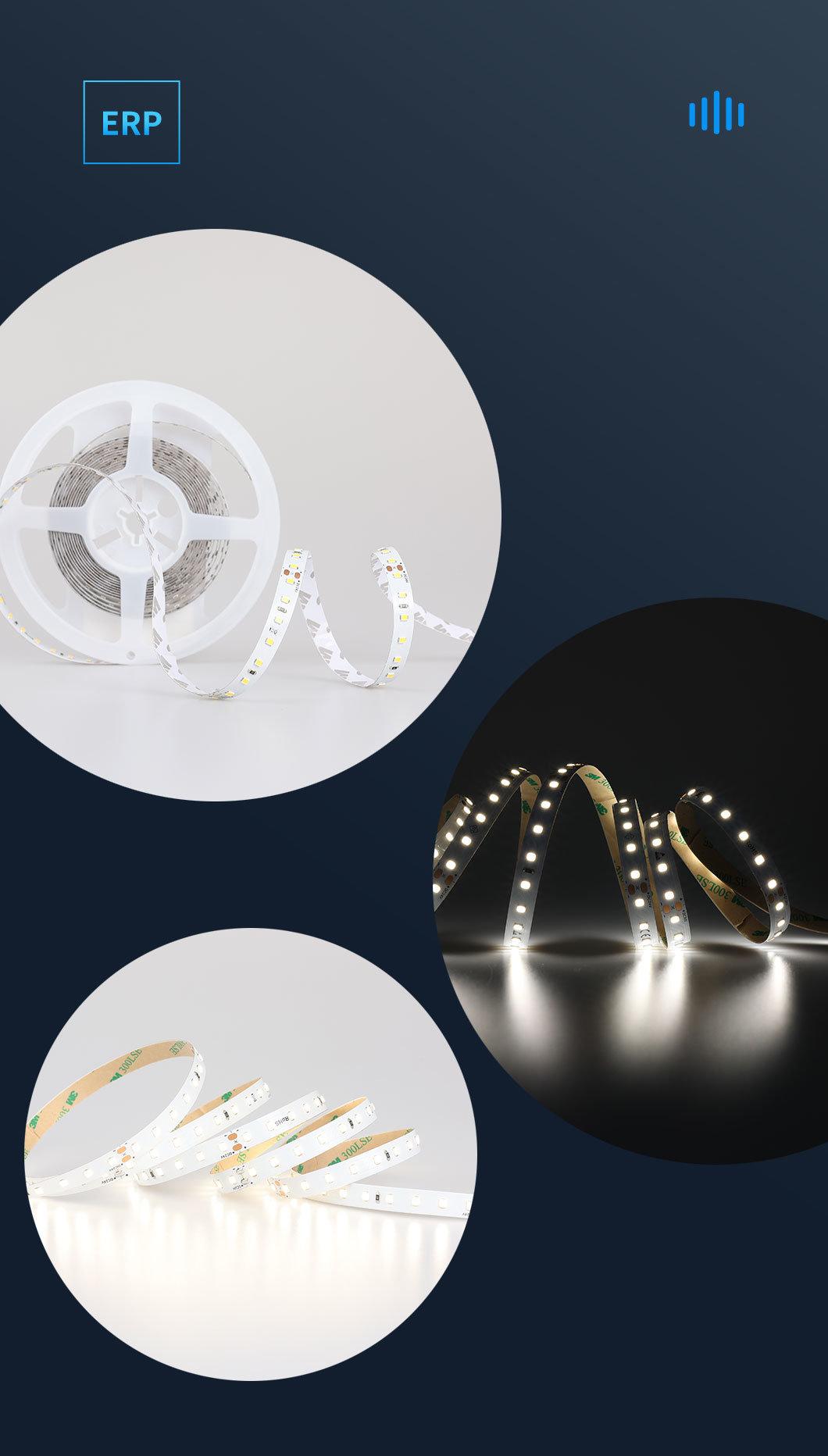 High CRI80 Warm White 2700K 10mm 5m Constant Voltage LED Light Strip with ERP Approval