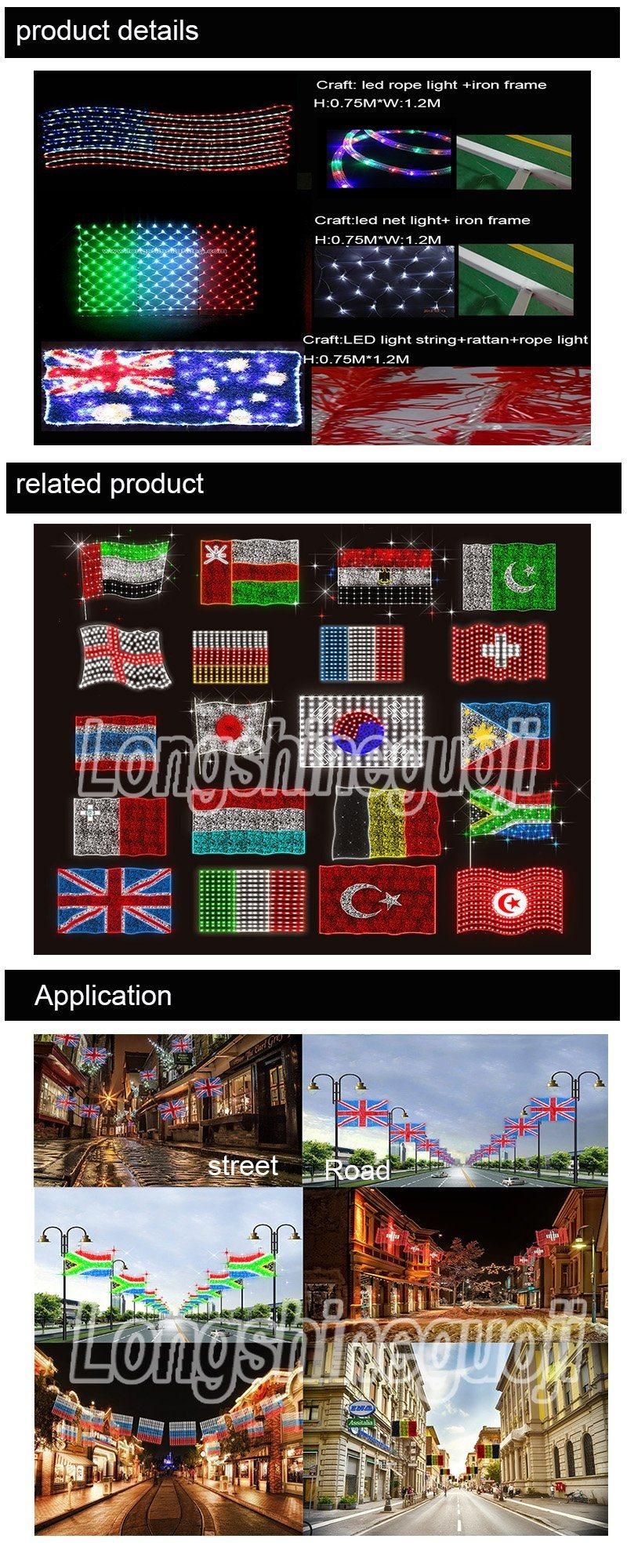 High Quality LED 220V Outdoor Pakistan National Flag for Decoration Lights