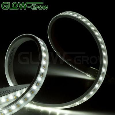 High Quality SMD 2835 IP65 LED Lighting Strip Linear Flexible Dual Color LED SMD Strip