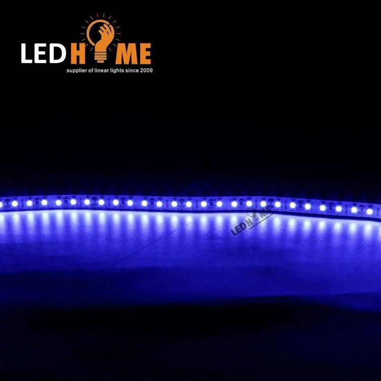 Waterproof IP68 LED Lighting SMD3528 120LED Strip 12/24V 3000K/4000K/5000K