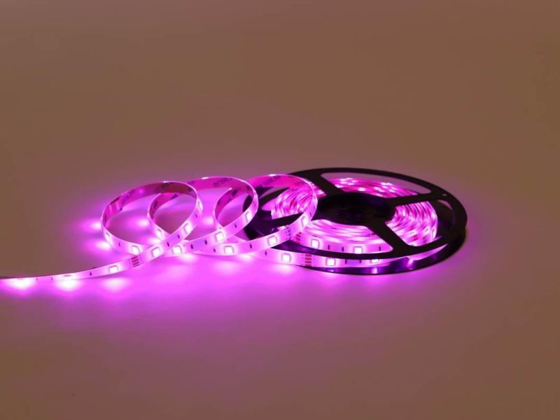 12V/24V Low Voltage RGB LED Strip SMD5050