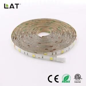 High Brightness Double CCT DC12V 5m SMD5025 Ww and Cw 30/60/120LEDs Flexible LED Strip/Tape Ce ETL UL