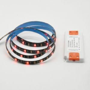 60LED 2835 LED Strip Light RGB Christmas Lighting with Dimmable Driver Adapter