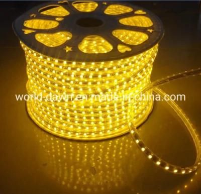 High Bright Warm White Color Decoration Lighting IP65 Outdoor LED Strip Light