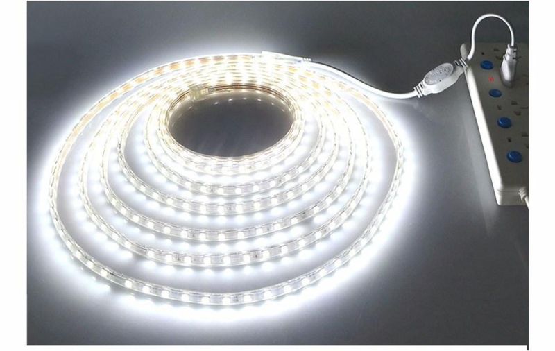 50m/Roll 100m/Roll SMD 5050 Single Color RGB LED Strip Rope Outdoor High Voltage 110V 220V LED Strip Light IP67 IP68