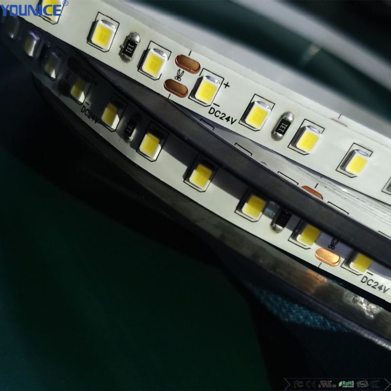 10m/Roll 120LED/M DC12V SMD2835 CE FCC MOQ10000m Flexible LED Strip