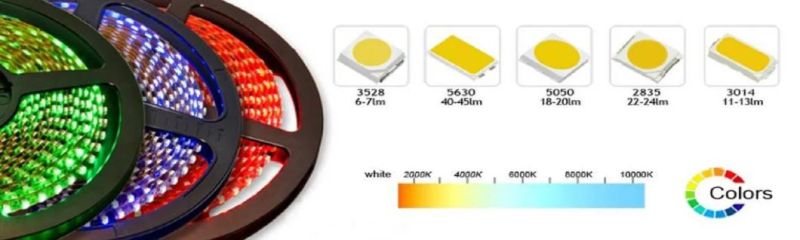 4.8W/M 3528 60LEDs/M Red Color IP68 Waterproof LED Strip Light