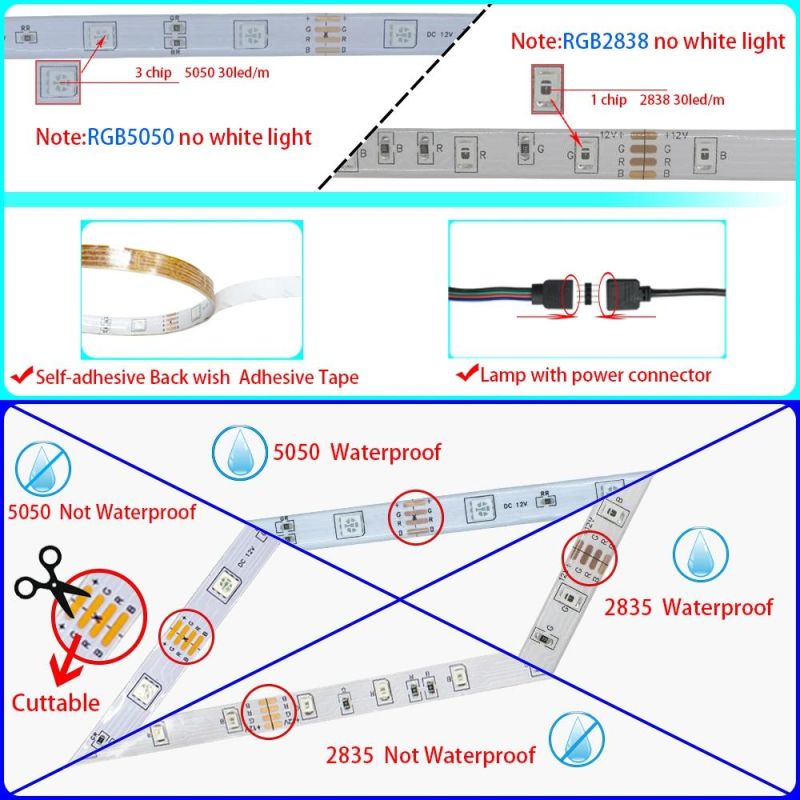 LED Strips Lights Bluetooth Iuces RGB 5050 SMD 2835 Waterproof WiFi Flexible Lamp Tape Ribbon Diode DC12V 5m 10m 15m 20m Color