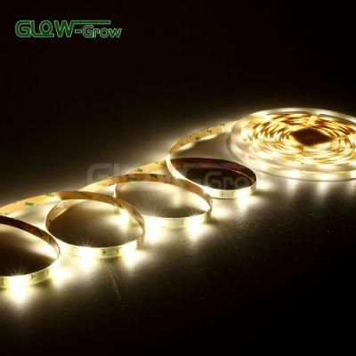 Ultra Bright 12V RGBW Strip Light with Pure Warm White Color
