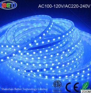 Shenzhen 5050 LED Strip Light Super Brightness