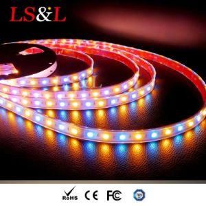 DC12V/24V RGB+Amber LED Strips