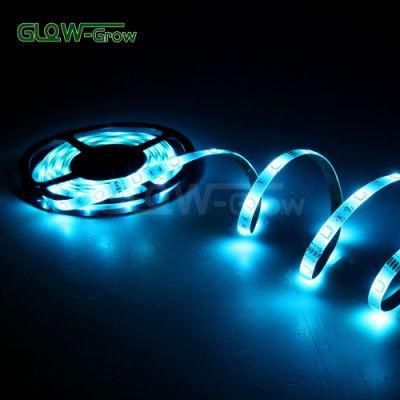 12V/24V 5m 60LEDs/M 10*2.3mm 4.8W/M 5050 Color Changing Christmas LED RGB Strip Light for Home DIY