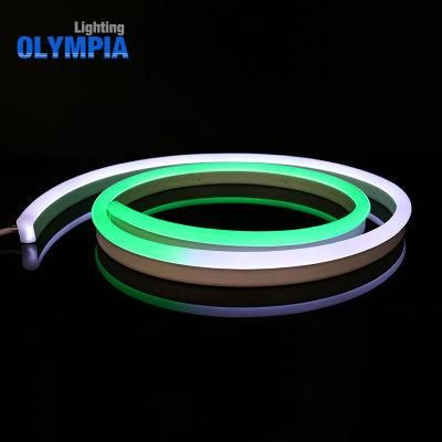 LED Pool IP68 Waterproof Addressable Strip for Christmas Holiday