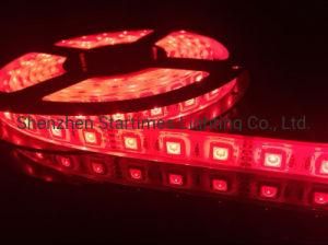 5 Years Warranty LED High Brightness DMX RGB LED Strip Lights Decorative Light Wedding Decoration LED Decorations Lighting