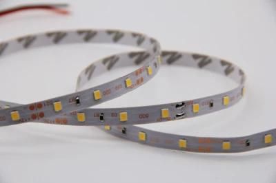 2835LED 60LED/M with Double Side PCB Standard Series LED Strip