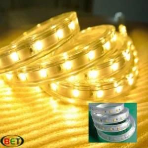 Warm White SMD5630 LED Strip Light Decorative Light Rope 110V