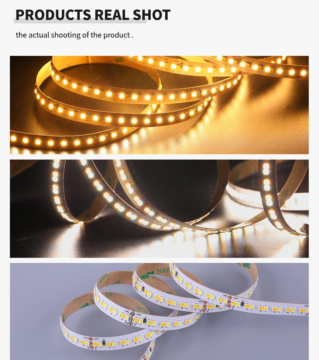 Double Color CCT SMD2835 240LEDs/M 24V Flexible LED Strip Light