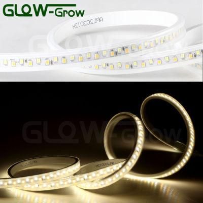 CE Approval IP65 SMD 2835 Dual Color Strip Light Strip LED 220V with Two Chips LED