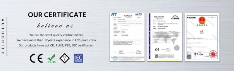 CE RoHS Certificate Flexible Chip 480LED COB Flexible Light