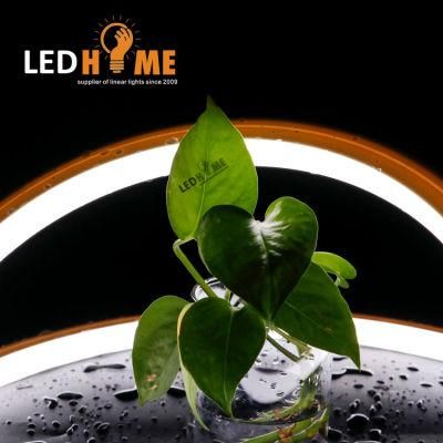 Newest Mini Size 10*10mm DC12V 24V IP68 SMD3014 PU LED Neon Flex for Outdoor Project