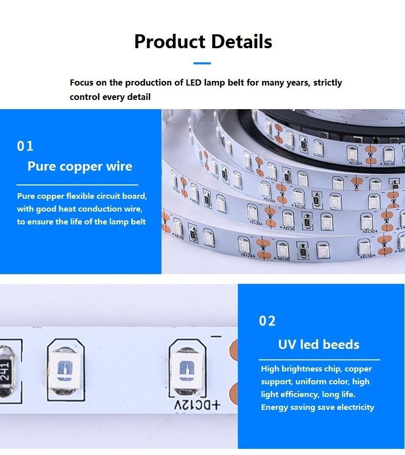 LED Rope Lights Battery Operated, LEDs Outdoor Indoor Waterproof Fairy Lights