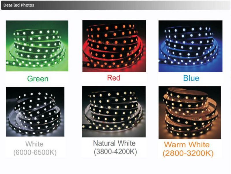 24V SMD5050 LED Strip Waterproof 4 Color in 1 RGB RGBW Rgbww LED Light Flexible
